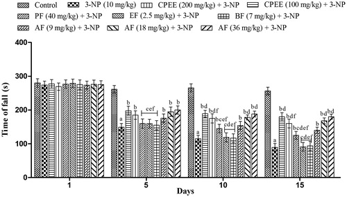 Figure 3. Effect of CPEE and its various fractions on the grip strength of 3-NP treated rats. Results are expressed as mean total time of fall ± SD (n = 8); ap < 0.05 vs control; bp < 0.05 vs 3-NP; cp < 0.05 vs CPEE 100 mg/kg; dp < 0.05 vs AF (9 mg/kg); ep < 0.05 vs AF (18 mg/kg); fp < 0.05 vs AF (36 mg/kg). Results are compared using two way analysis of variance followed by Bonferroni’s post hoc test. CPEE: ethanol extract of Celastrus paniculatus seeds; PF: petroleum ether fraction; EF: ethyl acetate fraction; BF: n-butanol fraction; AF: aqueous fraction.