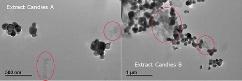 Figure 5. TEM images of titania particles and matrix residuals (highlighted) in candy extracts.