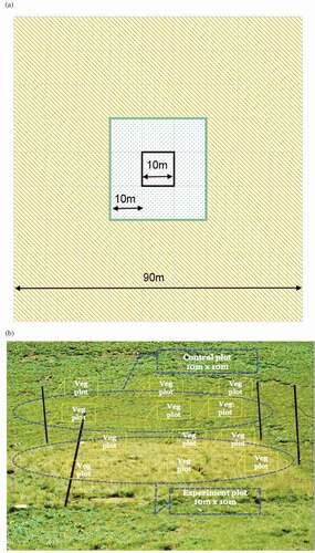 Figure 3. Experimental design. (A) The black line demarcates a fenced exclosure plot; the green line defines the area within which paired, nonexclosure plots were located; and the orange hatching indicates the boundary area within which pikas were reduced surrounding pika-reduction experiments. (B) A fenced exclosure and an adjacent, randomly selected observation (control) plot that was grazed. Here, both are marked with blue dashed lines. Vegetation sampling plots within the exclosure and outside of the exclosure are represented by dashed markers in yellow. Not all the vegetation sampling plots were located in the randomly selected observation plot; others were located in adjacent unselected grazed plots (also 10 × 10 m)