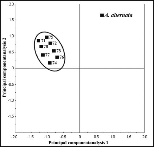 Figure 9. Relationship of fatty acid methyl ester (FAME) profiles among 8 isolates of A. alternata producing and non-producing AgNPs, as represented by plots of the first two principal component analyses.