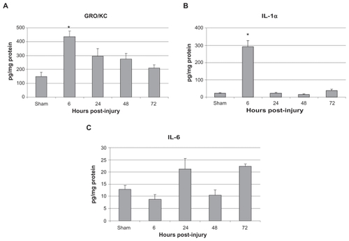 Figure 4 Lung levels of A) GRO/KC, B) IL-1α, and C) IL-6 in pg/mg protein.Notes: Data is shown as mean ± SE M for the sham surgery group as well as the 6, 24, 48, and 72 hours post-injury groups. * P < 0.05, when compared with sham group, one-way AN OVA with Tukey’s post-hoc test.