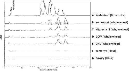 Fig. 1. HPLC chromatograms of brown rice (A), whole wheat grains (B–E), and commercially available flours (F, G). The oryzanol standard reagent was used to identify each peak. 1. Cycloartenyl ferulate, 2. 24-methylene cycloartanyl ferulate, 3. Campesteryl ferulate, 4. △7-sitosteryl ferulate, 5. β-sitosteryl ferulate, 6. Campestanyl ferulate, and 7. Sitostanyl ferulate (Stigmastanyl ferulate).