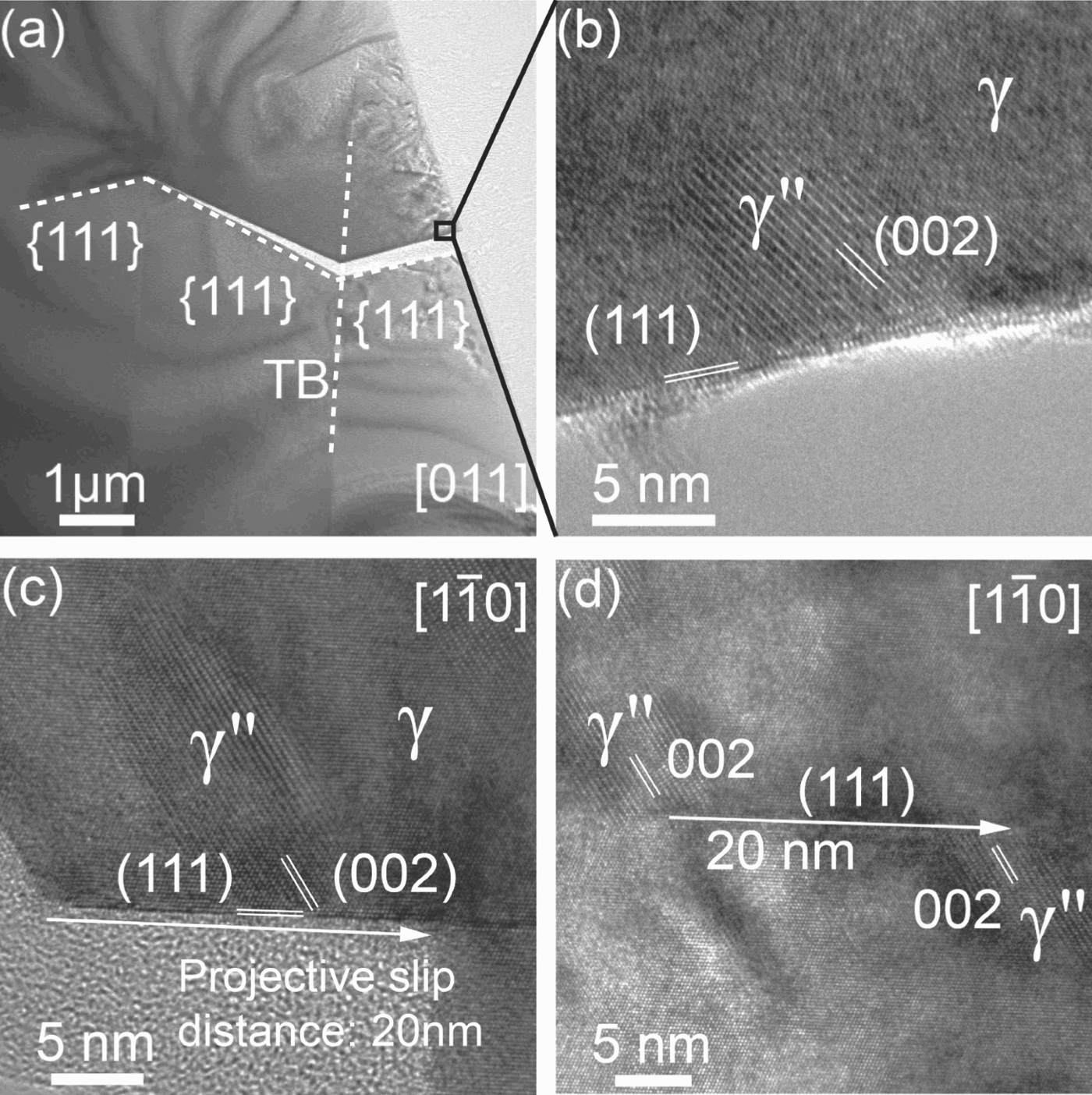 Figure 2. (a) TEM image showing a crack propagating in alloy 725 along {111} planes across two twin boundaries. (b) High-resolution TEM image of the crack surface indicated by a black square in (a) contains part of a γ″ precipitate. (c) A nanoscale surface notch with slip displacement of 20 nm along the (111) plane. (d) A γ″ precipitate ahead of the notch shown in (c) that has been cut into two halves along the same (111) plane forming the notch. The amorphous structures above the scale bar in (b) and below the arrow in (c) are organic contaminants.