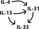 Figure 1 A snippet of the interleukin cascade. IL-4 and IL-13 are released under certain inflammatory stimuli. In turn they induce the release of IL-31, and IL-33; the latter is also induced by IL-31.