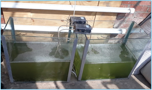 Figure 2. Algae growing unit.