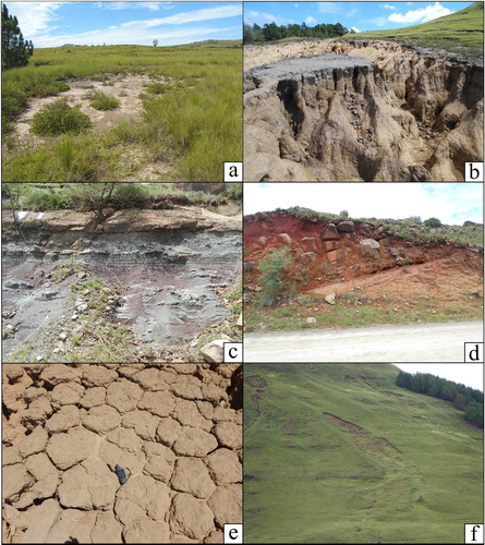 Figure 2. Main lithotypes and principal soil erosion processes in the study area. (a) Rill-interrill erosion. (b) Masotcheni Formation in a gully outcrop. (c) Adelaide Subgroup interbedded mudstone and fine sandstone. (d) Lithological boundary between Tarkastad Sandstone (beneath) and intrusive dolerite sill (above) displaying a spheroidal weathering profile. (e) Top of the Masotcheni colluvial profile showing a typical Solonetz polygonal structure. (f) Shallow landslide.