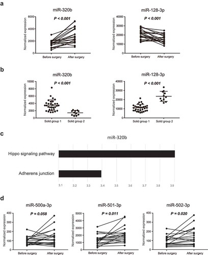 Figure 6. Biological analysis of exosomal miRNAs between pre- and postsurgical plasma samples. (a) Expression levels of miR-320b and miR-128-3p before and after surgery. (b) Differences in the expression levels of miR-320b and miR-128-3p between group 1 and group 2. (c) The targets of miR-320b were enriched in the Hippo signaling pathway and adherens junctions. (d) Expression levels of miR-500a-3p, miR-501-3p, and miR-502-3p before and after surgery. Differentially expressed miRNAs between the before and after surgery groups were analyzed using pairwise t tests, whereas differentially expressed miRNAs between solid group 1 and 2 were calculated by Mann-Whitney tests. Results with p values of less than or equal to 0.05 were considered statistically significant.