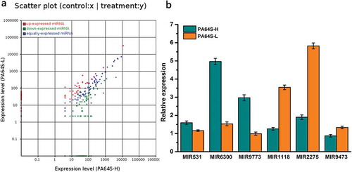 Figure 5. Comparison and validation of the differential expression of known miRNA in the different libraries. a. Scatter plot of expression rations for known in Pa64S-H and PA64S-L. Red points represent miRNAs with fold change>2, showing upregulated miRNAs in PA64S-L; blue points represent miRNAs with 1/2≤ fold change ≤2, indicating equally expressed miRNAs in both libraries; green points represent miRNAs with fold change<1/2, meaning downregulated miRNAs in PA64S-L. Fold change = normalized expression in PA64S-L/normalized expression in PA64S-H. b. Comparison of the miRNA expression levels between PA64S-H and PA64S-L by qPCR for MIR531, MIR6300, MIR9773, MIR1118, MIR2275, MIR9473. The experiments were performed with three biological replicates, and the error bars represent the standard error.