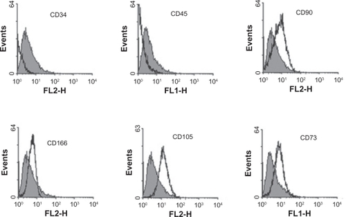 Figure 8 Chromosome karyotype analysis performed on unrestricted somatic stem cells.