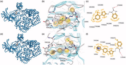 Figure 2. Putative binding modes of EMAC2045 and EMAC2056 and critical residues individuated for their binding in the pocket 1: (a, d) EMAC2045-HIV-1 RT complex and EMAC2056-HIV-1 RT complex; (b and e) close-up into the EMAC2045 and EMAC2056 binding site; (c and f) 2D depiction of EMAC2045 and its respective interactions with RT residues. pale yellow sphere indicates hydrophobic interactions with lipophilic residues. Red arrow indicates a hydrogen bond (HB) acceptor interaction, while the violet sphere represents the aromatic π − π stacking interaction.