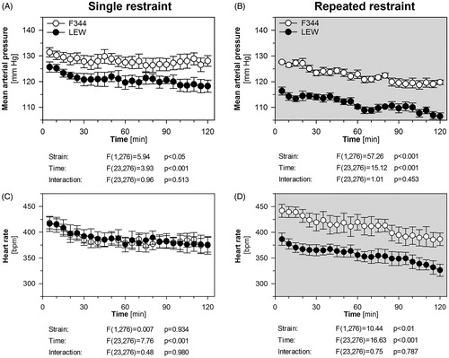 Figure 2. The effect of single and repeated restraint on the cardiovascular response in F344 and LEW rats. The time-course of mean arterial pressure (A, B) and heart rate (C, D) during single (A, C) and repeated (B, D) restraint. Each point represents a group mean ± SEM of the averaged 5-min interval; n = 6–7 for F344 rats, n = 7–8 for LEW rats. The main effects of strain (LEW vs. F344 rats) and time (within-animal repeated factor) were tested by repeated measures two-way ANOVA and the results are listed below each graph. Bonferroni post hoc test was performed.