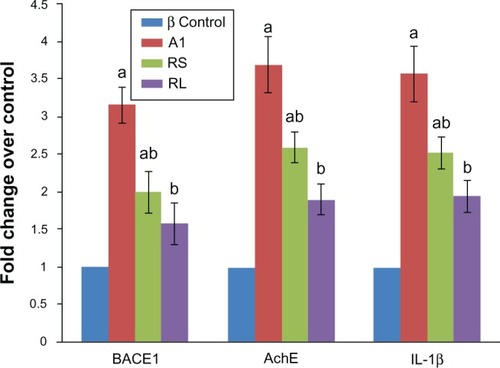 Figure 5 Real-time polymerase chain reaction analysis of beta-site amyloid precursor protein cleaving enzyme 1 (BACE1), acetylcholinesterase (AChE), and interleukin 1β (IL-1β) mRNA in the studied groups (control, Al, AlCl3-treated rats; rivastigmine [RIVA] solution [RS], AlCl3-treated rats + RIVA solution; RIVA liposome formulation [RL], aluminium chloride [AlCl3]-treated rats + RL).Notes: Changes in mRNA of each one of the target genes relative to GAPDH were determined by 2–ΔΔCt as fold change over control. Results are means ± standard error; n = 5. aSignificantly different from control group; bsignificantly different from AlCl3-treated group at P < 0.05.