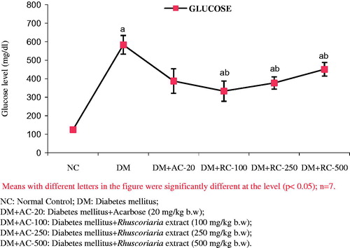 Figure 2. The effect of lyophilized fruit extract of sumac on the glucose levels of rats >21 d of treatment.