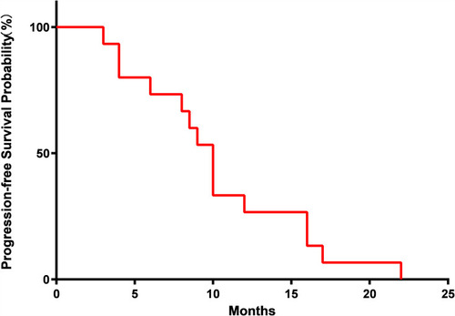 Figure 1 Probability of progression-free survival (median: 10 months).