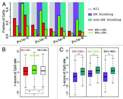 Figure 4. CpGs in ER binding sites tend to have lower methylation levels in ER+ breast samples. (A) The fraction of CpGs with significant differential methylation levels between ER+ and ER- samples. Note that CpGs in ER binding regions tend to have higher methylation levels in ER- samples, while CpGs not in ER binding regions tend to have higher methylation levels in ER+ samples. Four different thresholds are used to determine differential methylated CpGs. (B) Distribution of t-scores (ER+ vs. ER-) of methylation levels for CpGs. Genes are divided into 3 classes based on their expression levels in ER+ vs. ER- samples: ER+ > ER- (red), ER+ < ER- (green), and ER+ = ER- (white). Distributions of CpGs associated with the three gene classes are shown separately. (C) CpGs in ER binding regions tend to have lower methylation levels in ER+ samples (lower t-scores) compared with thosenot in ER binding regions, which is the case for CpGs associated with all three gene classes.