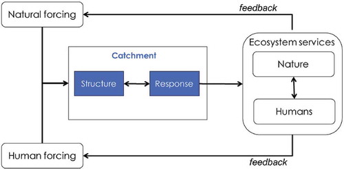 Fig. 1 Feedback between catchment, ecosystem services and human and natural forcings.