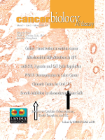 Cover image for Cancer Biology & Therapy, Volume 7, Issue 2, 2008