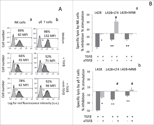 Figure 5. Improvement of HL cell lysis by exposure to ADAM10 inhibitor LT4 and anti-TGFβ. Panel (A) NKG2D expression before (upper histograms) or after treatment with TGFβ (10 ng/mL), (middle histograms) or with TGFβ and anti-TGFβ mAb (1 µg/mL), on NK cells (Aa) or γδ T cells (Ab). In each subpanel: percentage of positive cells and MFI (a.u.). Panel (B) Cytolytic activity of NK cells (Ba) orγδ T cells (Bb) was analyzed against L428 cell line at E:T ratio of 5:1 in a 4-h 51Cr-release assay. Some samples were set up after exposure of the target cell lines to LT4 or MN8 at 10 μM concentration for 24 h. To some samples, we added effector cells exposed to TGFβ (10 ng/mL), with or without saturating amounts (1 μg/mL) of the anti-TGFβ mAb, as indicated. Results are expressed as % inhibition or stimulation of specific lysis calculated as described in Materials and Methods. *p <0.001 vs. TGFβ. **p <0.001 vs. TGFβ + anti-TGFβ. #p <0.001 vs. TGFβ + anti-TGFβ on untreated L428 cells.
