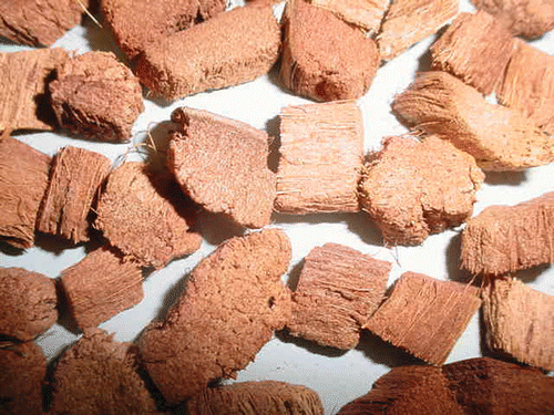 Figure 1 Photograph of dried coconut coir pieces.