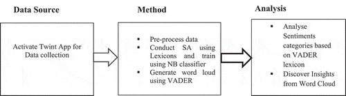 Figure 1. Workflow of the study.