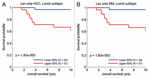 Figure 10 Survival analysis for the intersection between MCF7 lactate-specific genes and transcripts that are highly expressed in poor prognosis cancers. (A) Survival curves based on the intersection of the lactate and the HCC-derived signatures are shown within the luminal A subtype for overall survival. (B) Survival curves based on the intersection of the lactate and the MM-derived signatures are shown for overall survival. These two signatures each contain ∼30–40 gene transcripts, see Supplemental Tables 4 and 5. HCC, hepatocellular carcinoma; MM, multiple myeloma.