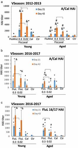Figure 3. Immunogenicity of seasonal influenza vaccines in the young and aged cotton rats. (a) Immunogenicity of FluLaval 2012–2013 and FluMist 2012–2013 in the young and aged cotton rats. Animals were immunized with the indicated doses of FluLaval 2012–2013 i.m. or with FluMist 2012–2013 i.n. during the corresponding vaccine season and boosted 3 weeks later. Control animals were infected i.n. with influenza A/California (Cal). Serum samples were collected prior to boost and three weeks after the boost for analysis of HAI titers against A/Cal. Results represent GMT±SE for 11–15 animals per group. Negative control animals (Ctr) were unimmunized and uninfected. (b,c) Immunogenicity of FluLaval (FluL) 2016–2017 in the young and aged cotton rats. Animals were immunized as described above but using the FluLaval 2016–2017 formulation during the corresponding vaccine season. Control animals were infected with influenza A/California or left unimmunized and uninfected (Ctr). Blood samples were collected for analysis of serum HAI titers against A/Cal (b) or FluLaval 2016–2017 (c). Results represent GMT±SE for 9–12 animals per group (except for Ctr group, where 5 samples were included). *p< .05 when compared to titers in the same age animals with primary infection, same day; & p< .05 when compared to d21 samples collected after the same dose vaccination for the same age animals; # p< .05 when compared to young animals, same vaccine, dose, and day of collection; ⊓ (connector) p< .05 when compared to the lower vaccine dose in the same age animals, same day of blood collection