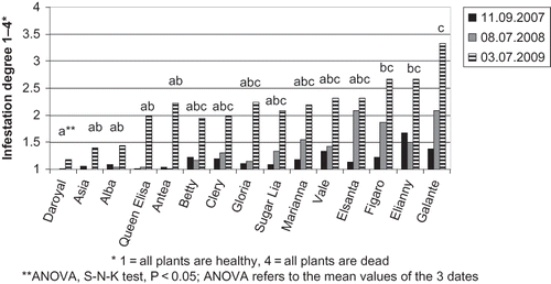 FIGURE 1 Infestation degree of V. dahliae (site ‘Jedlersdorf’, 2007–2009).