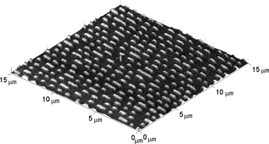 Figure 18 Fusion result for the DVD sample. The AFM scan has been rendered as a three-dimensional surface and is textured by the correctly registered SEM scan.