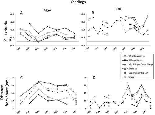 FIGURE 5. Annual weighted mean (A) latitude (°N) in May, (B) latitude in June, (C) distance from shore (nautical miles [nm]; 1 nautical mile = 1.852 km) in May, and (D) distance from shore in June for yearling Chinook Salmon representing various stocks sampled along the Washington and Oregon coasts (sp = spring run; su = summer run; f = fall run). Sampling months with fewer than 10 fish for a given stock were excluded from this analysis; none of the stocks sampled in June 1998 met the minimum sample size criterion. The gray horizontal line indicates the latitude of the Columbia River mouth.