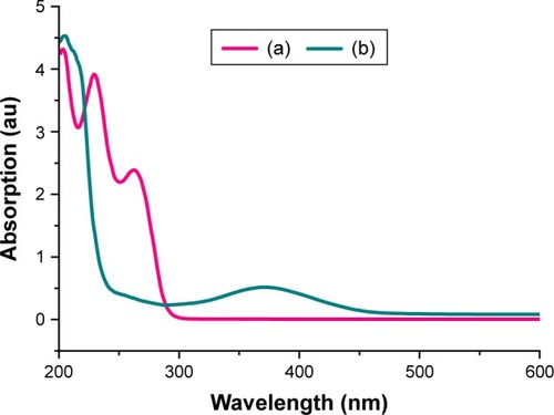 Figure 5 UV–visible absorption of (a) pure cefadroxil and (b) nanohybrid CD-LDH.Abbreviations: LDH, layered double hydroxide; CD, cefadroxil.