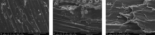 Figure 8. Scanning electron microscope images of poplar with different pretreatment methods