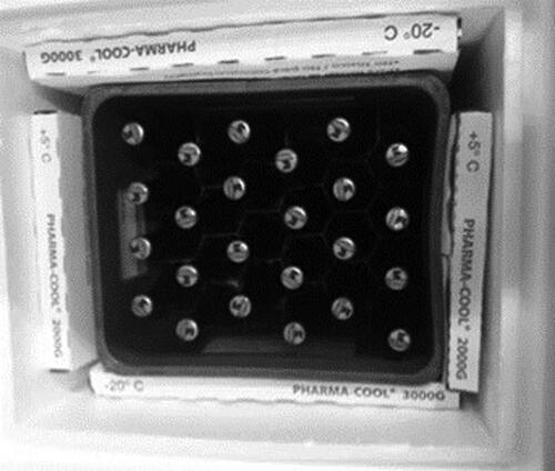 Figure 2. Plastic bottle crates packed in Styrofoam coolers for shipping.