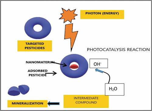 Figure 4. General mechanism of nanoparticle-mediated degradation.