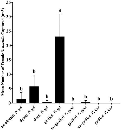 Figure 1. The mean number of female Sirex noctilio caught per treatment in Junde. Small bars represent standard deviation. Different letters on bars indicate significant differences (one-way ANOVA followed by Tukey's multiple comparison test, P < 0.05).Note: P. syl = Pinus sylvestris var. mongolica, L. gme = Larix gmelinii, P. kor = Pinus koraiensis.