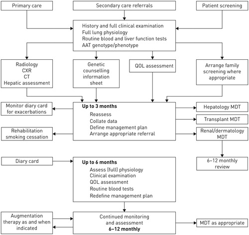 Figure 1. European Respiratory Society proposal for the provision of services by a AATD reference center.Footnote: CXR: Chest X-ray; CT: Computed tomography; MDT: multidisciplinary team. Reproduced with permission of the © ERS 2020: European Respiratory Journal 2017 50: 1700610; DOI: 10.1183/13993003.00610-2017