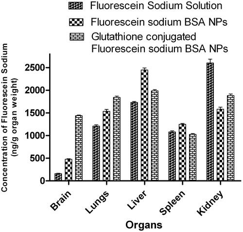 Figure 8. Fluorescein sodium concentrations (ng/mL) in different organs after intravenous injection of nanoparticles formulations.