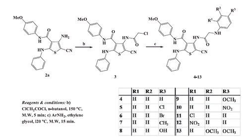 Scheme 2. Synthesis of 5-Cyano-N-(4-methoxyphenyl)-4–(2-arylaminoacetamido)thiophene-3-carboxamides 4–13.