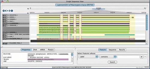 Figure 4. ARGO genome annotation editor display. Shown is the evidence for the gene structure annotation of Neurospora crassa alkaline phosphatase (NCU01376) in the ARGO genome annotation editor. Evidence consists of, from top to bottom, Augustus, geneid, FgeneSH, SNAP, GLIMMERHMM, and GENEMARK.hmm ab initio predictions, followed by GENEWISE predictions based on top matching homologous proteins, PASA assemblies of EST alignments (ESTs not shown), EVidenceModeler consensus prediction, and the final annotated gene model for this locus. The intron boundaries that agree with the annotated gene model are highlighted as pink vertical bars. Positions of tart and stop codons are shown as green and red vertical bars, respectively. The ab initio predictors AUGUSTUS, FgeneSH, SNAP, and GENEMARK.hmm all perfectly agree on the structure of this gene, whereas GeneId and GLIMMERHMM propose different structures. The PASA assemblies of high quality EST alignments provide evidence for UTR annotations at both gene termini, extending upstream and downstream of the start and stop codons of the annotated gene model (pink model highlighted at bottom).