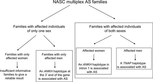 Figure 1 Summary of family-based association analyses using multiplex ankylosing spondylitis (AS) families from the North American Spondylitis Consortium (NASC).