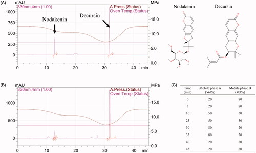 Figure 1. High-performance liquid chromatography (HPLC) results for the methanolic extract of Angelica gigas root (AGmex) and the nodakenin and decursin standards. A, HPLC chromatogram of the standards and their chemical structures. B, HPLC chromatogram of AGmex. C, Mobile phase gradient (mobile phase A, acetonitrile; mobile phase B, water). Conditions used: HPLC, Shimadzu system (Shimadzu, Kyoto, Japan); column, YMC-Triart C18; wavelength, 330 nm; column temperature, 35 °C; flow rate, 1 mL/min; injection volume, 10 μL.