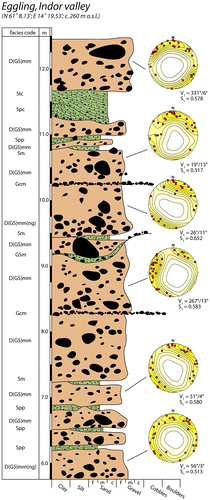 Figure 6. Example of vertical sediment succession in the central part of a side-to-side cross section over a Rogen-shaped moraine ridge in the middle ridge position [section marked (a) in Fig. 5], representative of the whole section except for the distal slope. In the distal slope, the bedding instead of being in a subhorizontal position, the same types of sediments start to be inclined in the slope direction and individual beds show anticlinal/synclinal bending with dips of up to 70°. The subhorizontal bedding of the main part of the section continues towards the proximal slope of the ridge and is cut here at a considerable angle by the sloping ridge surface. Lithofacies codes are according to Table 1. Clast fabric data are plotted on Schmidt equal-area, lower hemisphere projections of clast long-axis orientation and contoured according to the Kamb method at 2σ intervals. The calculated strongest eigenvector azimuth (V1) and its eigenvalue (S1) for each data-set are according to Mark (Citation1973). Redrawn from part of Figure 5 in Möller (Citation2006).