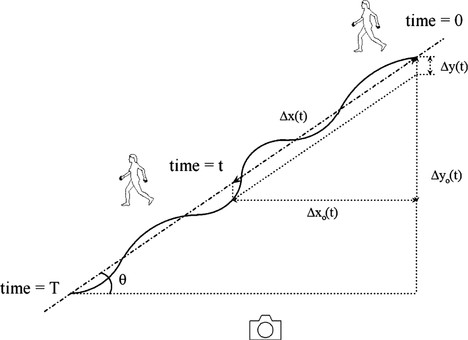 FIGURE 5 Calculation of displacements in case of diagonal motion. The observed deviations from a straight path are due to actual vertical motion while the acting person is walking along the motion path.