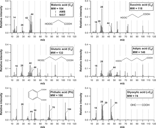 FIG. 8 Same as Figure 5 but for the other selected diacids (C3–C6 and Ph) and ω-oxoacid (ω C2).