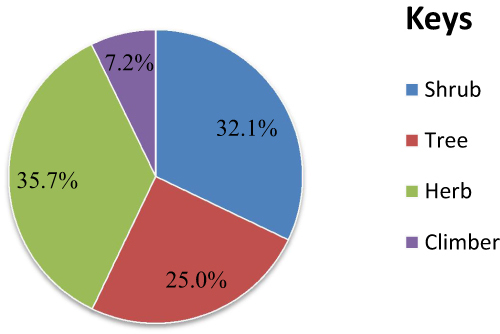 Figure 2 Growth forms of medicinal plants used for the treatment of hepatitis.