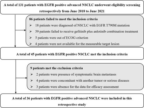 Figure 1 Flow chart of the retrospective study of gefitinib plus anlotinib in the treatment for patients with EGFR positive advanced non-small cell lung cancer.