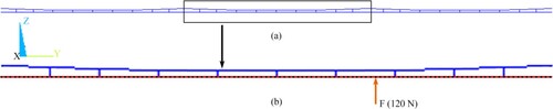Figure 9. Catenary structure after shape-finding. (a) Model with three spans. (b) Zoomed view of displacement constraint condition middle span, where the node is the location to apply load.
