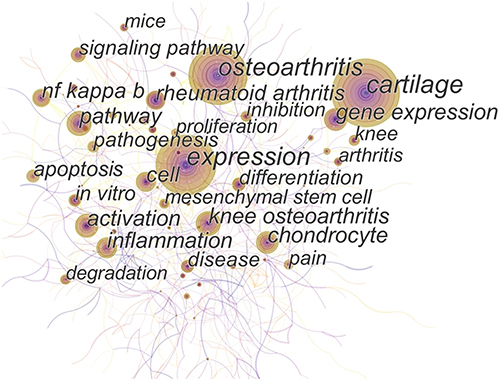 Figure 7 Keyword co-occurrence network mapping for OA signaling pathway research.