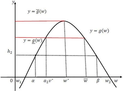 Figure 3. The construction of functions g¯(w) and g_(w) under the condition (A1).