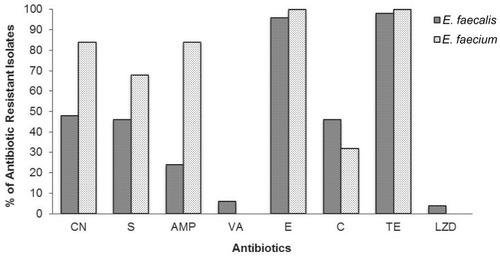 Figure 1 Antibiotic resistance profile of E. faecalis and E. faecium.Abbreviations: CN, gentamicin; S, streptomycin; AMP, ampicillin; VA, vancomycin; E, erythromycin; C, chloramphenicol; TE, tetracycline; LZD, linezolid.