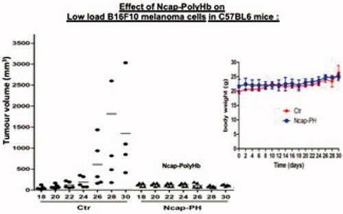 Figure 9. In vivo effect on growth of melanoma and body weight, n = 6 mice for each group. Ctr: control with saline. Ncap-PH: polylactide nanocarrier containing polyhaemoglobin.